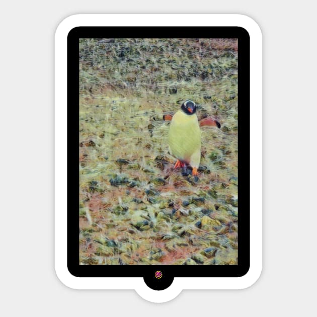 Antarctica penguin  walk Sticker by FirstClassQueen